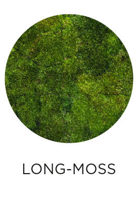 easy green long-moss